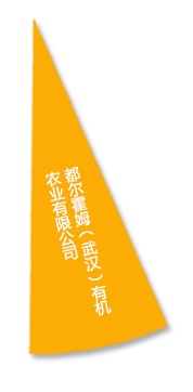 S36沙龙会 - 要玩就玩沙龙会