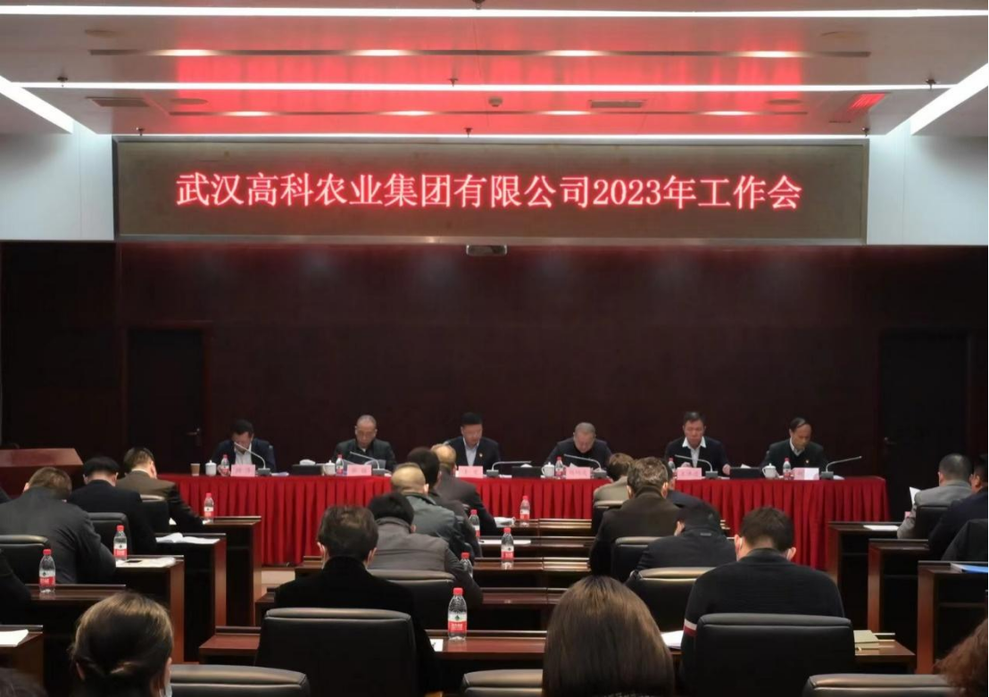 S36沙龙会 - 要玩就玩沙龙会
