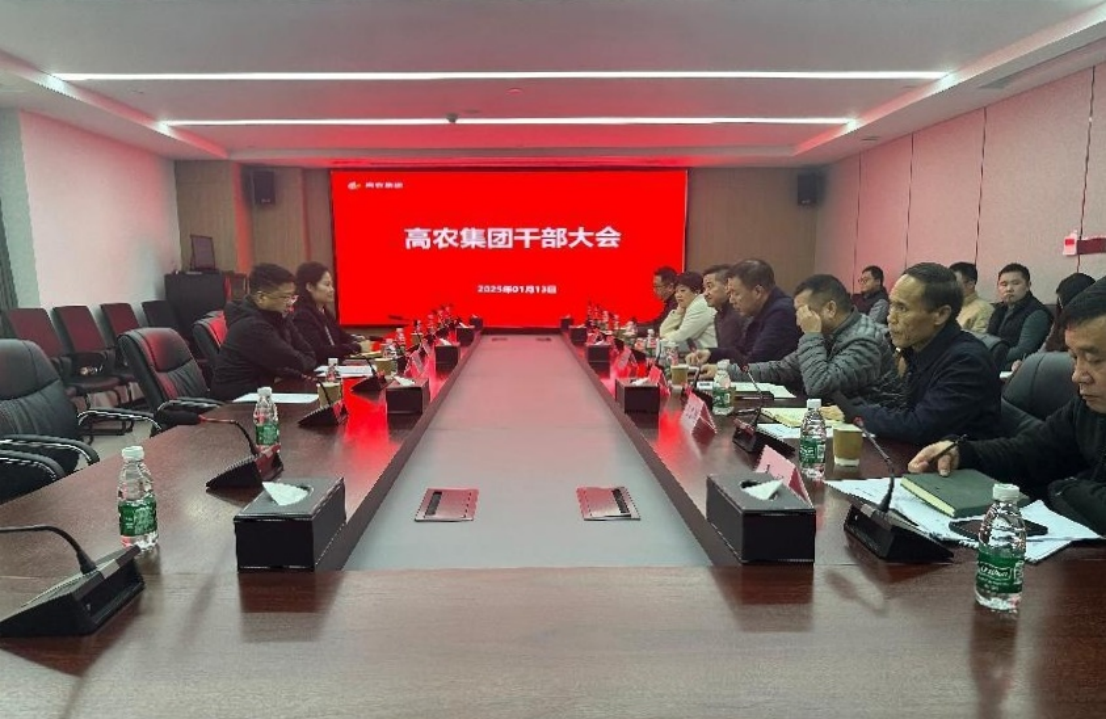 67871c0524a33 S36沙龙会 - 要玩就玩沙龙会