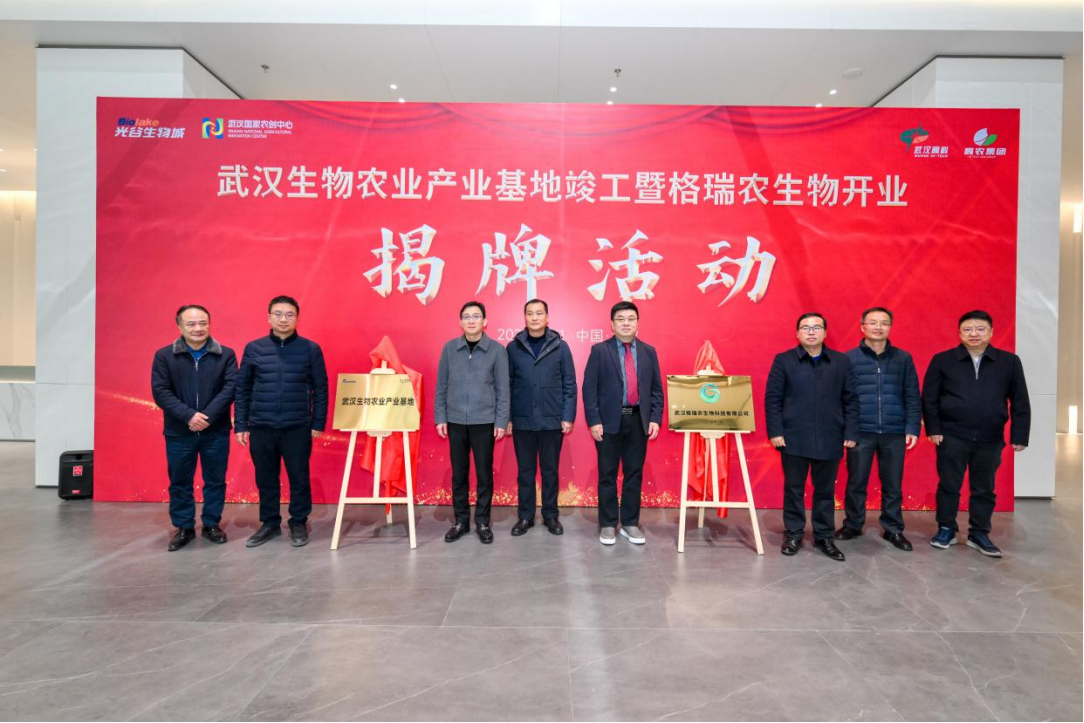 S36沙龙会 - 要玩就玩沙龙会