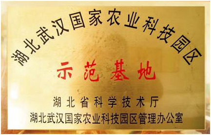 S36沙龙会 - 要玩就玩沙龙会