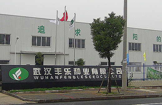 S36沙龙会 - 要玩就玩沙龙会