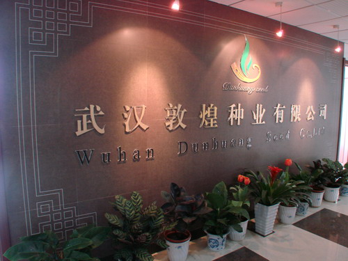 S36沙龙会 - 要玩就玩沙龙会