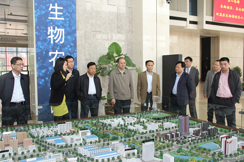 S36沙龙会 - 要玩就玩沙龙会