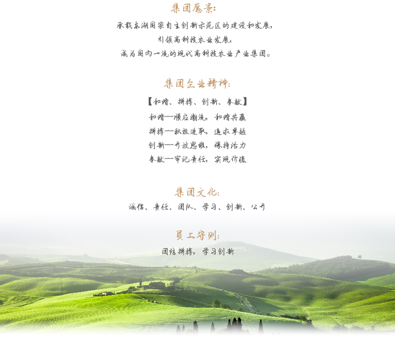 S36沙龙会 - 要玩就玩沙龙会