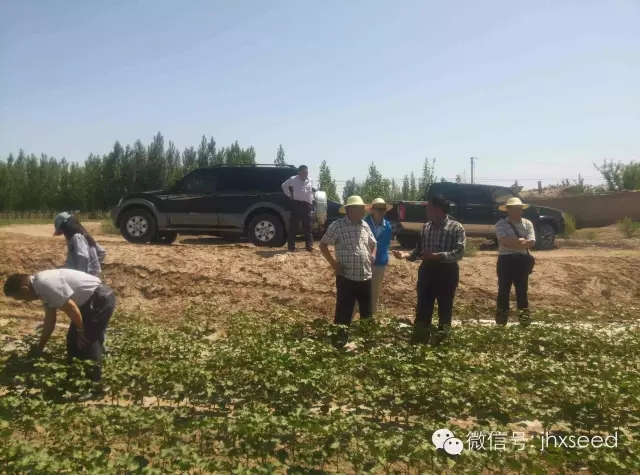 S36沙龙会 - 要玩就玩沙龙会
