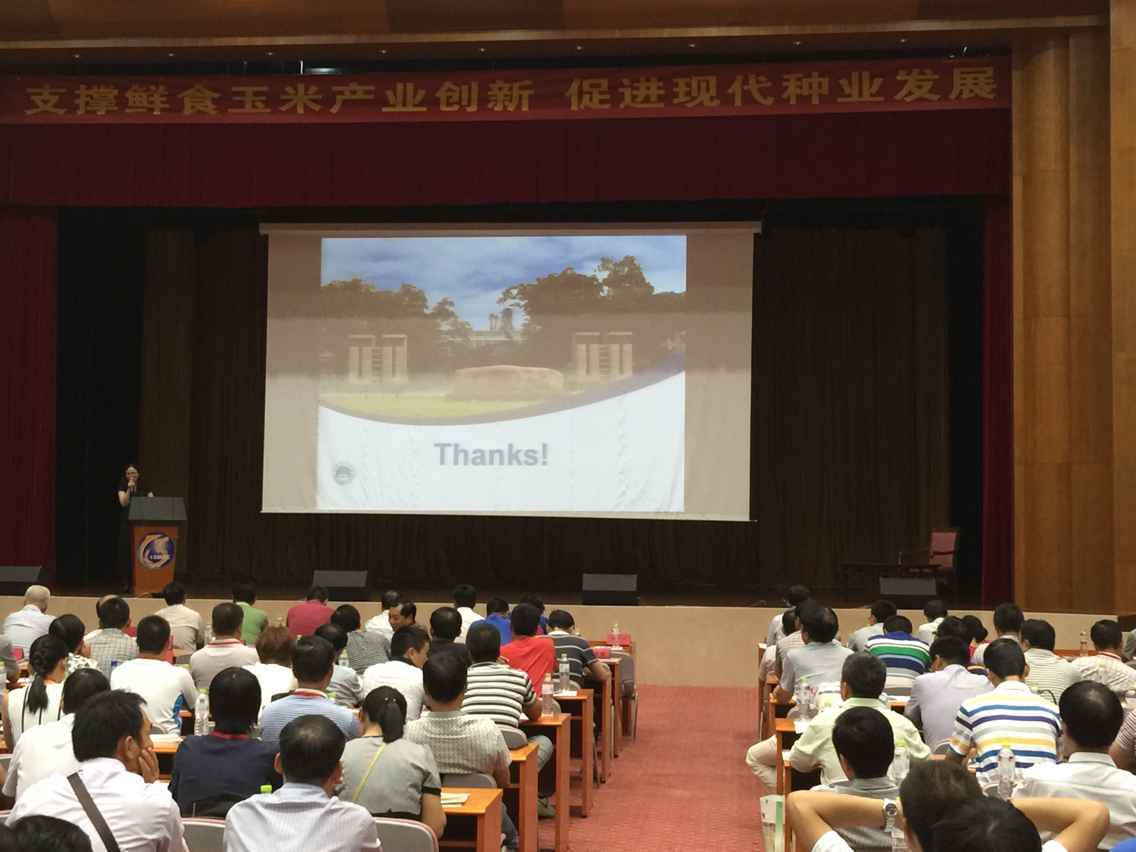 S36沙龙会 - 要玩就玩沙龙会