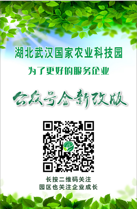 S36沙龙会 - 要玩就玩沙龙会