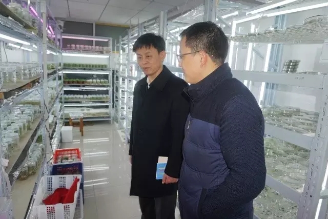 S36沙龙会 - 要玩就玩沙龙会
