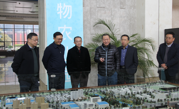 S36沙龙会 - 要玩就玩沙龙会