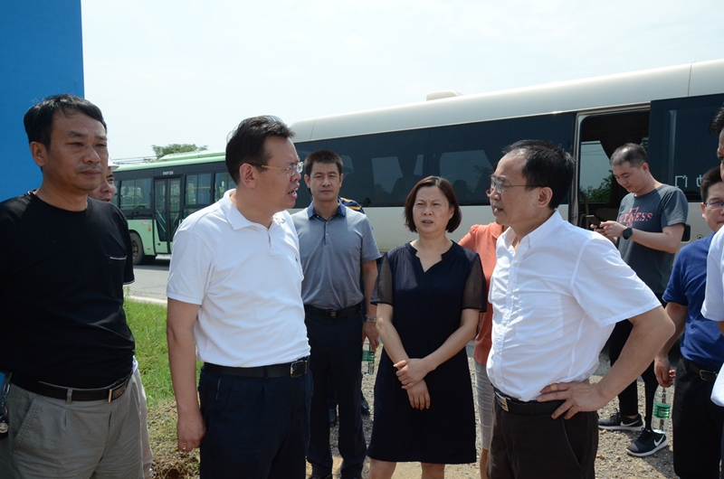 S36沙龙会 - 要玩就玩沙龙会