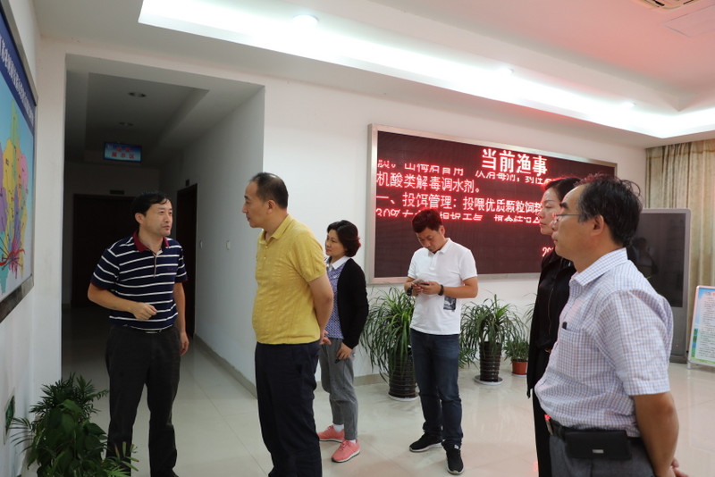 S36沙龙会 - 要玩就玩沙龙会