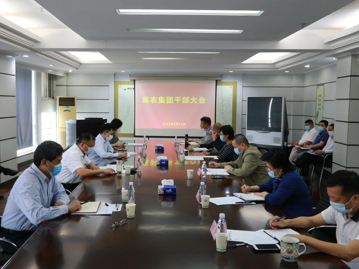 S36沙龙会 - 要玩就玩沙龙会