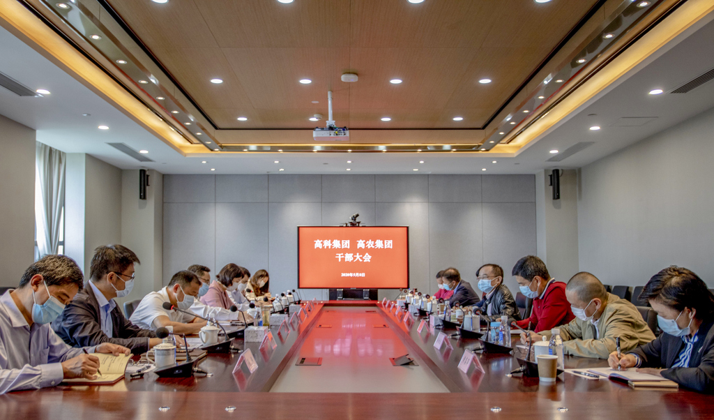 S36沙龙会 - 要玩就玩沙龙会
