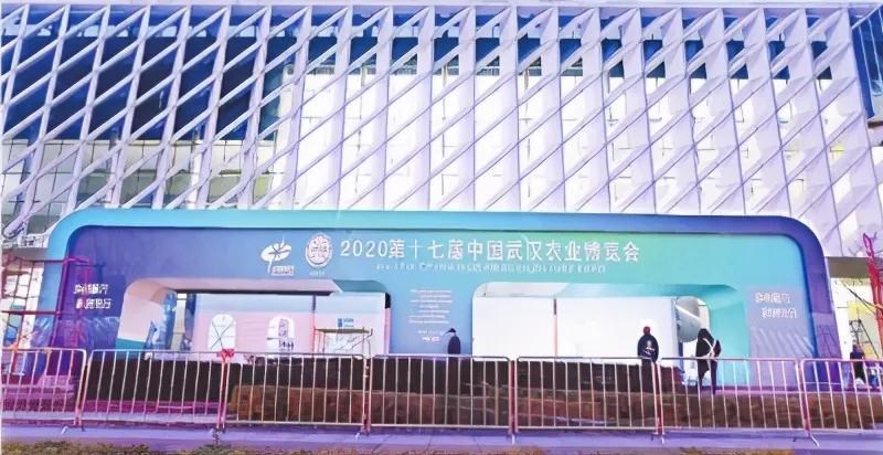 S36沙龙会 - 要玩就玩沙龙会