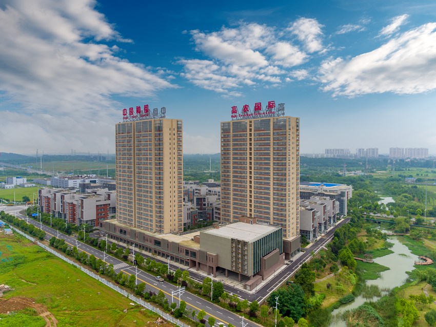 S36沙龙会 - 要玩就玩沙龙会