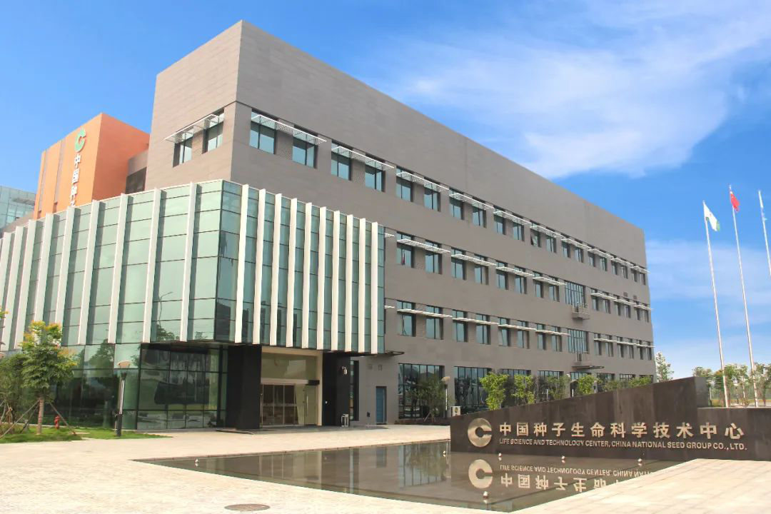 S36沙龙会 - 要玩就玩沙龙会