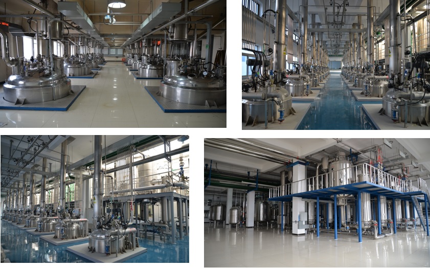 w88win优德(中国)官方网站