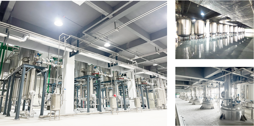 w88win优德(中国)官方网站