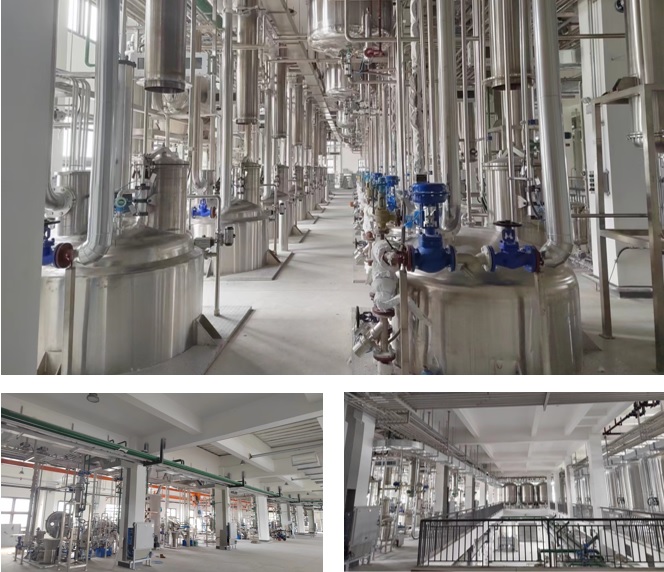 w88win优德(中国)官方网站