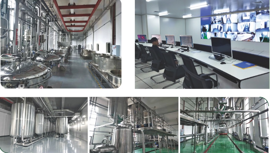 w88win优德(中国)官方网站